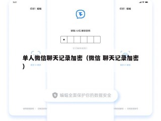 单人微信聊天记录加密（微信 聊天记录加密）