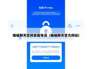蝙蝠聊天官网客服电话（蝙蝠聊天官方网站）
