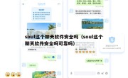 soul这个聊天软件安全吗（soul这个聊天软件安全吗可靠吗）