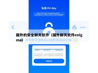 国外的安全聊天软件（国外聊天软件enigma）