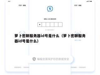 萝卜密聊服务器id号是什么（萝卜密聊服务器id号是什么）