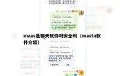 maas是聊天软件吗安全吗（masta软件介绍）
