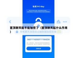 置顶聊天能不能加密了（置顶聊天起什么作用）