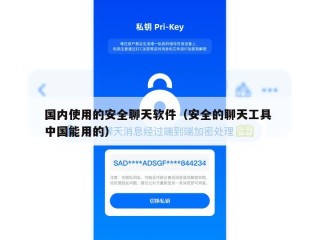 国内使用的安全聊天软件（安全的聊天工具 中国能用的）