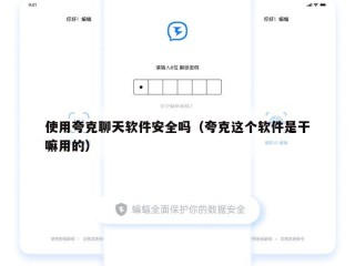 使用夸克聊天软件安全吗（夸克这个软件是干嘛用的）