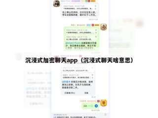 沉浸式加密聊天app（沉浸式聊天啥意思）