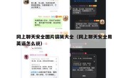 网上聊天安全图片搞笑大全（网上聊天安全用英语怎么说）