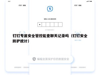 钉钉专属安全管控能查聊天记录吗（钉钉安全防护统计）