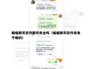 蝙蝠聊天软件聊天安全吗（蝙蝠聊天软件用来干嘛的）