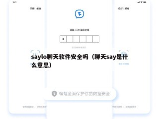 saylo聊天软件安全吗（聊天say是什么意思）