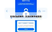 沉浸式加密聊天（沉浸式聊天啥意思）