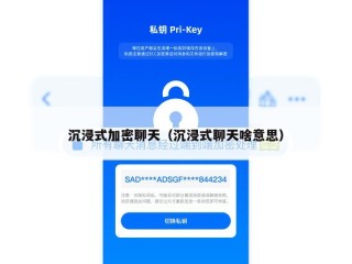 沉浸式加密聊天（沉浸式聊天啥意思）