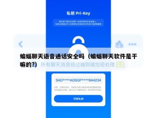 蝙蝠聊天语音通话安全吗（蝙蝠聊天软件是干嘛的?）