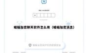 蝙蝠加密聊天软件怎么用（蝙蝠加密消息）