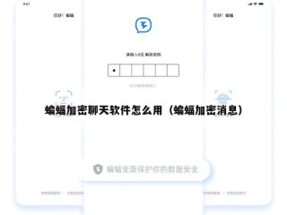 蝙蝠加密聊天软件怎么用（蝙蝠加密消息）