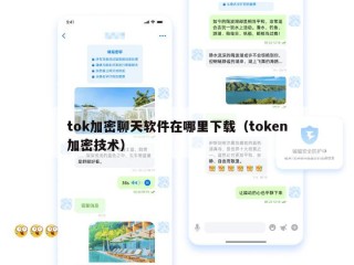 tok加密聊天软件在哪里下载（token加密技术）