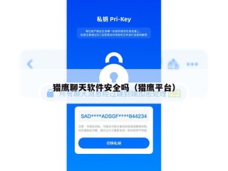 猎鹰聊天软件安全吗（猎鹰平台）