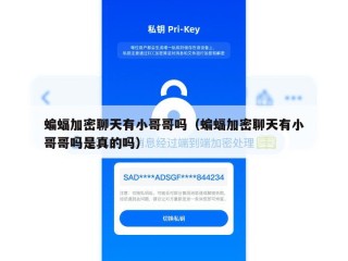 蝙蝠加密聊天有小哥哥吗（蝙蝠加密聊天有小哥哥吗是真的吗）