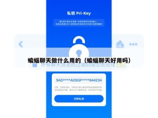 蝙蝠聊天做什么用的（蝙蝠聊天好用吗）