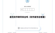 属性软件聊天安全吗（软件属性在哪里）