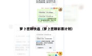 萝卜密聊快连（萝卜密聊彩票计划）