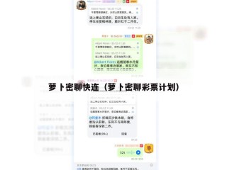 萝卜密聊快连（萝卜密聊彩票计划）