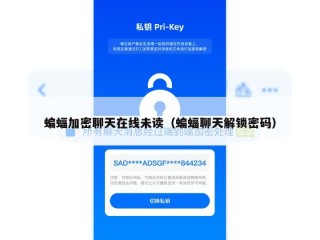 蝙蝠加密聊天在线未读（蝙蝠聊天解锁密码）