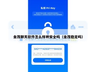 金茂聊天软件怎么样啊安全吗（金茂稳定吗）