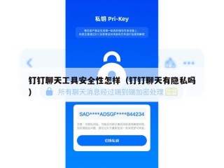 钉钉聊天工具安全性怎样（钉钉聊天有隐私吗）