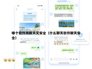 哪个软件纯聊天又安全（什么聊天软件聊天安全）