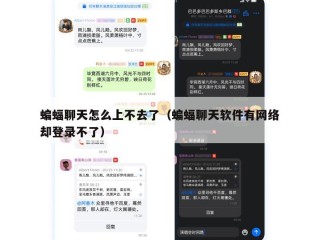 蝙蝠聊天怎么上不去了（蝙蝠聊天软件有网络却登录不了）