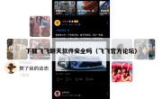 下载飞飞聊天软件安全吗（飞飞官方论坛）
