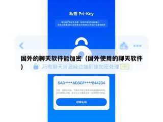 国外的聊天软件能加密（国外使用的聊天软件）