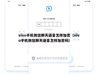 vivo手机微信聊天语音怎样加密（vivo手机微信聊天语音怎样加密码）