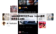 oppo加密聊天软件app（oppo加密软件怎么设置）