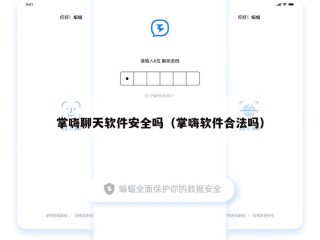 掌嗨聊天软件安全吗（掌嗨软件合法吗）