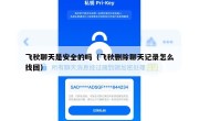 飞秋聊天是安全的吗（飞秋删除聊天记录怎么找回）
