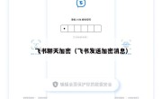 飞书聊天加密（飞书发送加密消息）