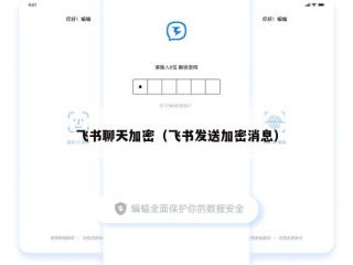 飞书聊天加密（飞书发送加密消息）