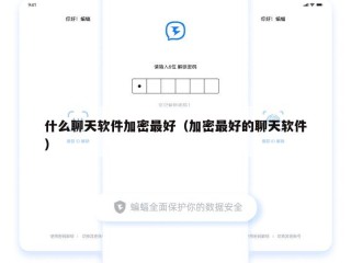 什么聊天软件加密最好（加密最好的聊天软件）