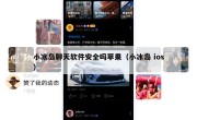 小冰岛聊天软件安全吗苹果（小冰岛 ios）