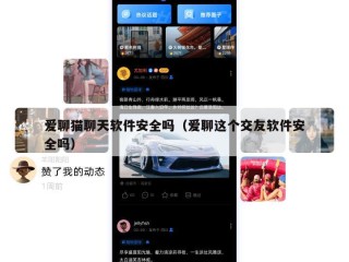 爱聊猫聊天软件安全吗（爱聊这个交友软件安全吗）