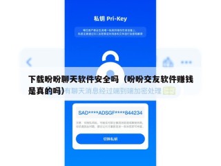 下载盼盼聊天软件安全吗（盼盼交友软件赚钱是真的吗）