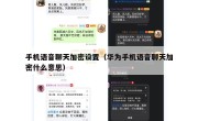手机语音聊天加密设置（华为手机语音聊天加密什么意思）