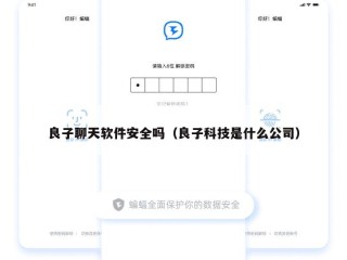 良子聊天软件安全吗（良子科技是什么公司）