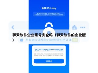 聊天软件企业账号安全吗（聊天软件的企业版）
