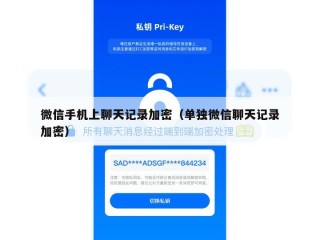 微信手机上聊天记录加密（单独微信聊天记录加密）