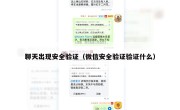 聊天出现安全验证（微信安全验证验证什么）