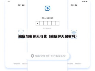 蝙蝠加密聊天收费（蝙蝠聊天保密吗）