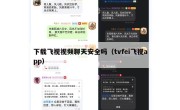 下载飞视视频聊天安全吗（tvfei飞视app）